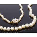 A single strand of opera pearls, on 9ct pearl set clasp, length 31"