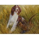 Spencer Roberts, watercolour, Spaniel with pheasant, 21" x 29", framed