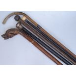 A silver-topped walking cane, a walking stick with a carved dog's head handle, and 3 others (5)