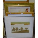 A gilt-frame print, a figure, an abstract print, and limited edition landscape (3)