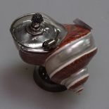 An unusual shell salt with silver mounts, H6.5cm