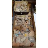 A large collection of Antiquity pottery fragments