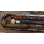 A walking stick with ivory handle, 3 other walking sticks, and a shooting stick (5)