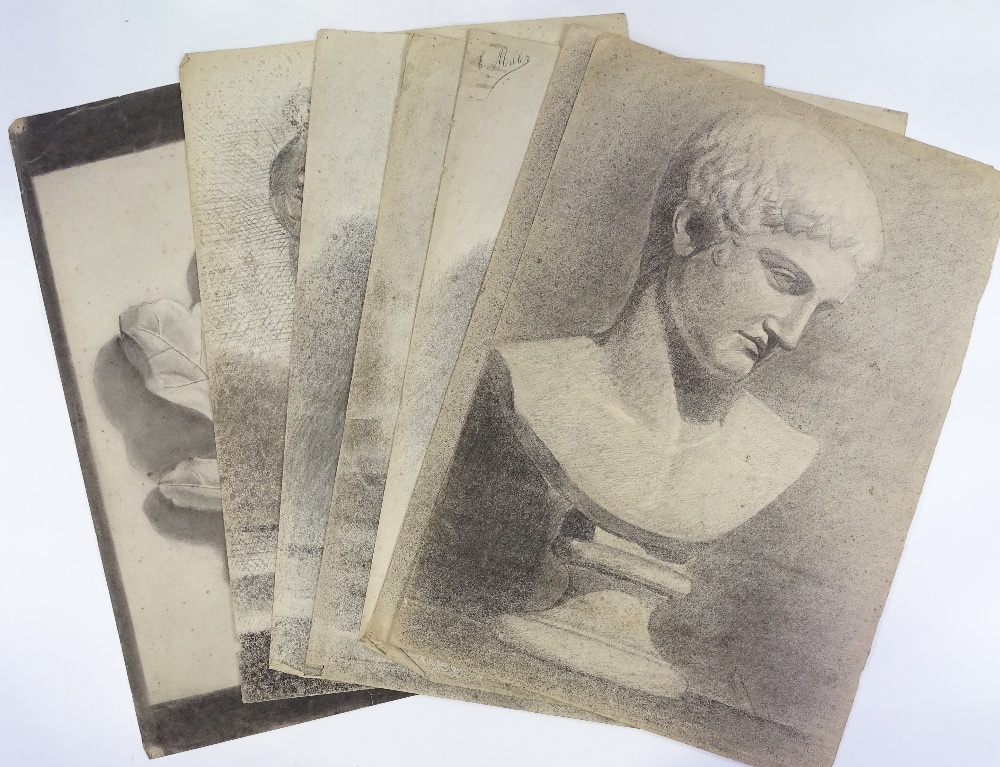A folder of charcoal drawings on paper, Classical studies, unsigned - Image 2 of 4