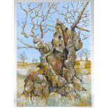 P West, oil on canvas, old tree, 27.5" x 19.5", unframed