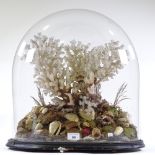 A Victorian coral and seashell diorama, under large glass dome on wood plinth, height 49cm, width