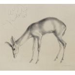 John Skeaping, lithograph, deer, signed in the plate, 11" x 14", and an Art Deco print, still life