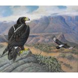 Phillip Clancey (1917-2001), pair of oils on board, South African birds, circa 1980, inscribed