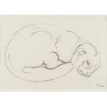 Silvia Baker, pencil drawing, sleeping puppy, 7" x 10", mounted