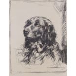 Nicolson, lithograph, gun dog, signed in pencil, image size 12" x 9", framed