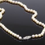 A single string graduated pearl standard long necklace, on 9ct white gold clasp set with a single