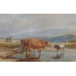 19th century watercolour, cattle at the pond, unsigned, 9" x 13", framed