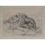 Sir Edwin Landseer (1802 - 1873), etching, dogs worrying a frog, 1860, signed in the plate, plate