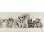 Nadel Aberhardt, coloured engraving puppies, signed in pencil, plate size 8" x 22", framed