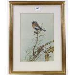 Edwin Penny (1930 - 2016), watercolour, Cock Chaffinch, 14.5" x 10", framed