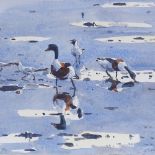 James McCallum (born 1970), watercolour, geese and gulls at the shore, 7.5" x 11", framed