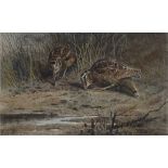 Archibald Thorburn, hand coloured engraving, woodcocks, signed in pencil, image 7.5" x 11.5", framed