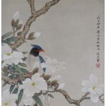 Early 20th century Chinese School, watercolour on paper, bird in a magnolia tree with seals and