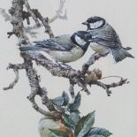 Edwin Penny (1930 - 2016), watercolour, Great Tits, 14.5" x 10", framed, provenance; Frost & Reed