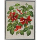 Leslie Greenwood, watercolour, botanical study, hibiscus, 13" x 10", framed