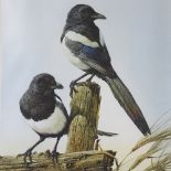 Edwin Penny (1930 - 2016), print, Magpies, published 1977, signed in pencil, image 20" x 14", and