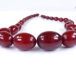 A single strand of graduated cherry amber beads, largest bead length 31.6mm, necklace length 56cm,