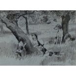 Edmund Caldwell, monochrome watercolour illustration, puppies chasing a cat, signed with monogram,