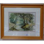 Terry Harrison, watercolour, woodland stream