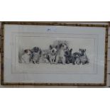 Nadel Aberhardt, coloured engraving puppies, signed in pencil, plate size 8" x 22", framed