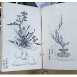 A Japanese book depicting botanical studies