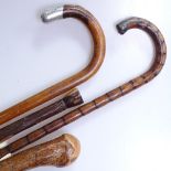 4 various walking sticks