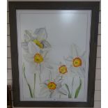 Regine Bartson, watercolour, Narcissus, signed, 29" x 22", framed