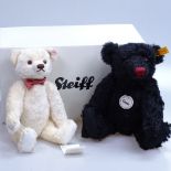 A Steiff classic black teddy bear, height 11", and a Steiff cream bear