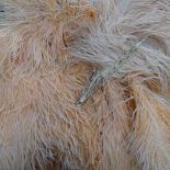 Ostrich feather fan, frames, and a boxful with fur collars, evening purses, fans etc