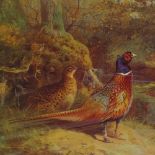 Archibald Thorburn, a set of 4 coloured limited edition prints, game birds, framed