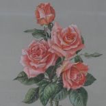 Helen Haynes, watercolour, still life, study of roses