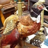 A taxidermic cock pheasant, and a taxidermic golden pheasant