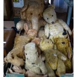 Vintage teddy bears, an elephant, and dogs