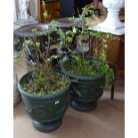 A pair of painted and embossed cast-iron garden planters, W48cm, H49cm