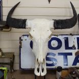 A buffalo skull with horns mounted on a stand, width 30"