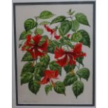 Lesley Greenwood, watercolour, botanical study Hibiscus, framed