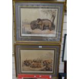 Pair of early 20th century reprints, studies of elephant and rhino, 14" x 18", framed