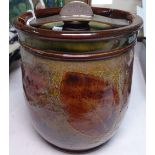 A Royal Doulton biscuit barrel, with impressed autumn leaves, and patent lid lock