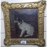 Oil on board, dog study, unsigned, 7.5" x 7", framed