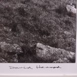 David Herrod, 2 original photographs, Lake District, signed in pen, Exhibition details verso,