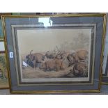 Pair of early 20th century reprints, studies of elephant and rhino, 14" x 18", framed