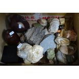 A box of fossils and minerals