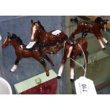 4 Beswick Bay foals