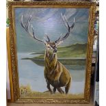 Clive Fredriksson, large oil on board, stag, signed and dated, 45" x 34", framed