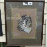 V Collins, coloured pastels, study of a cat, signed, 11" x 8", framed